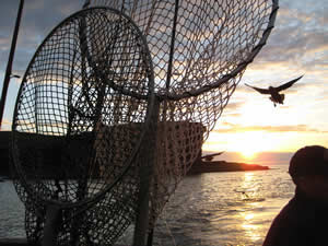 Fishing - Sea Angling around Caithness and Sutherland